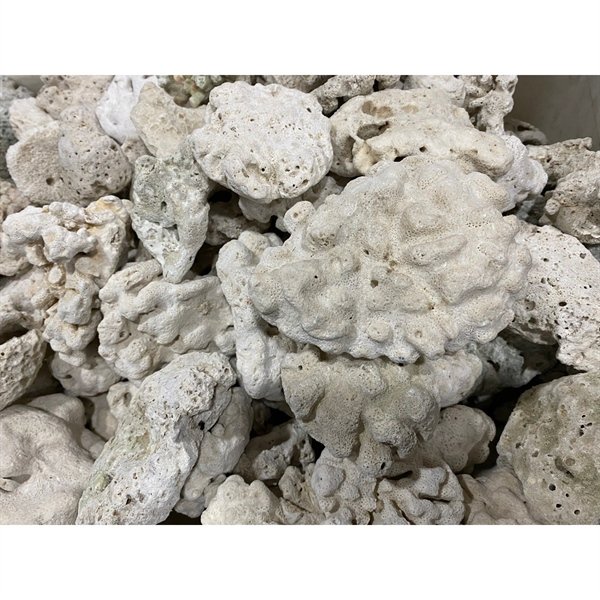 kiotviet_285d807a53c2c93728938f8f3c7ef9b9