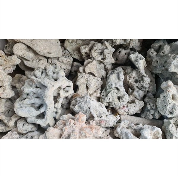 kiotviet_8a250d2d6cf969e348a825d410184c53