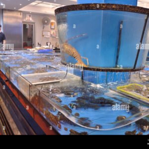 Hồ hải sản siêu thị