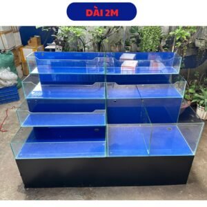 Hồ hải sản không chỉ là nơi nuôi giữ sinh vật sống mà còn là "bộ mặt" của nhà hàng, quán ăn hay siêu thị hải sản.