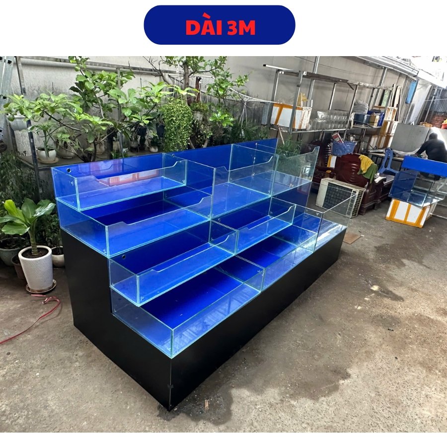 bể hải sản Bể hải sản