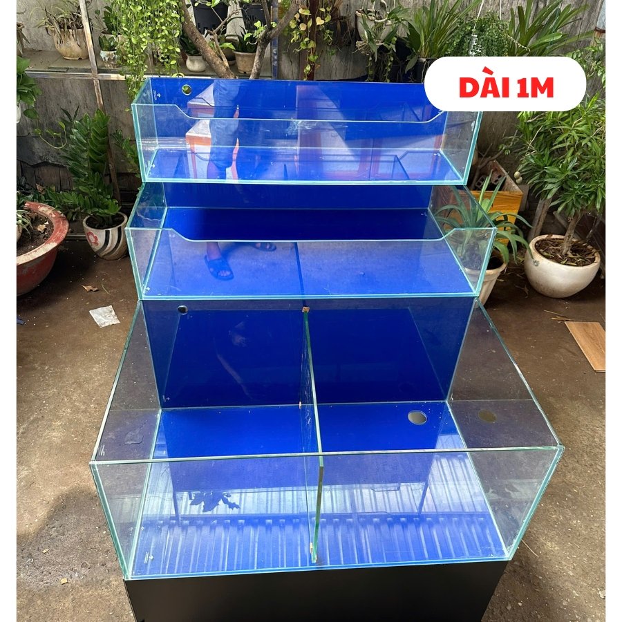 Bể kính tràn Bể kính tràn