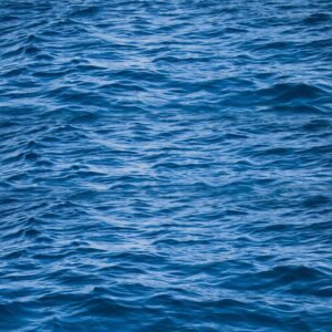 mua bán nước biển tại TPHCM