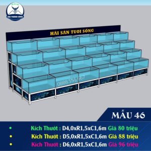 HỒ HẢI SẢN DÀI 6M