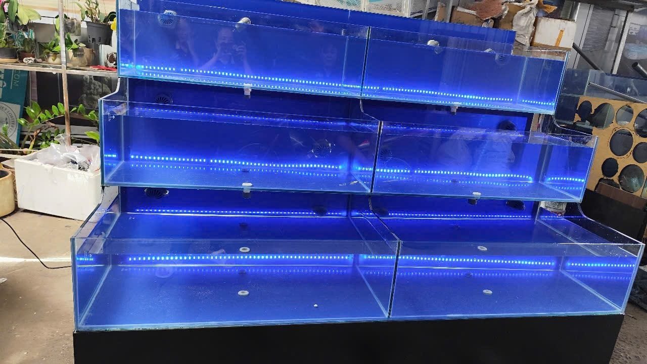 hồ hải sản thành công