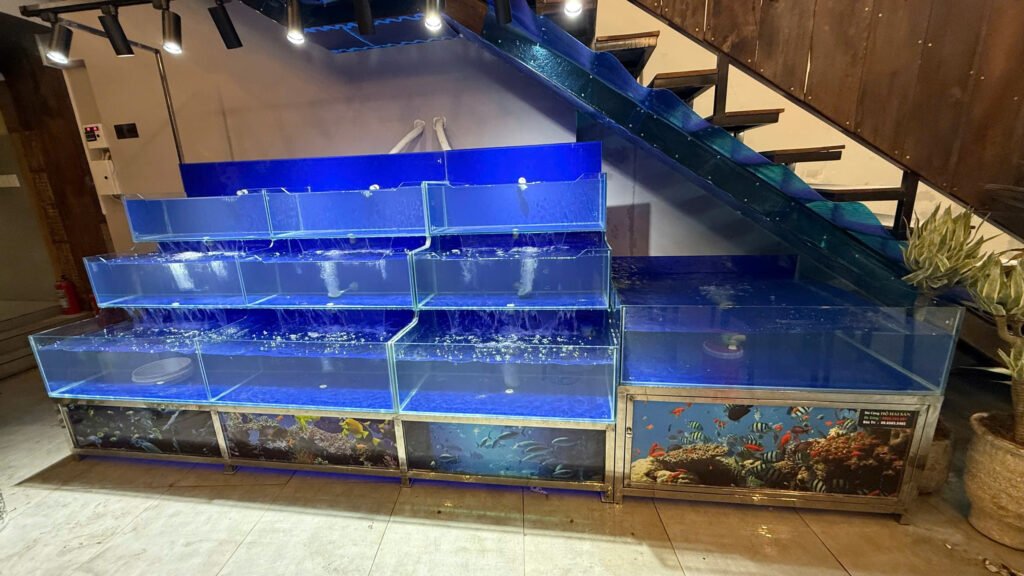 vận chuyển hồ hải sản