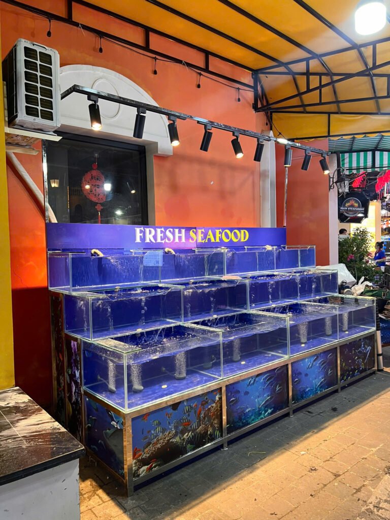 Thi công bể hải sản