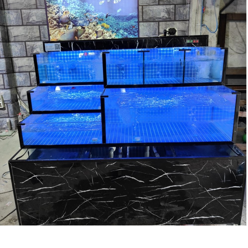 di dời hồ hải sản