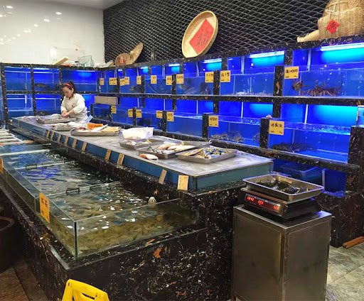 hồ hải sản sang trọng